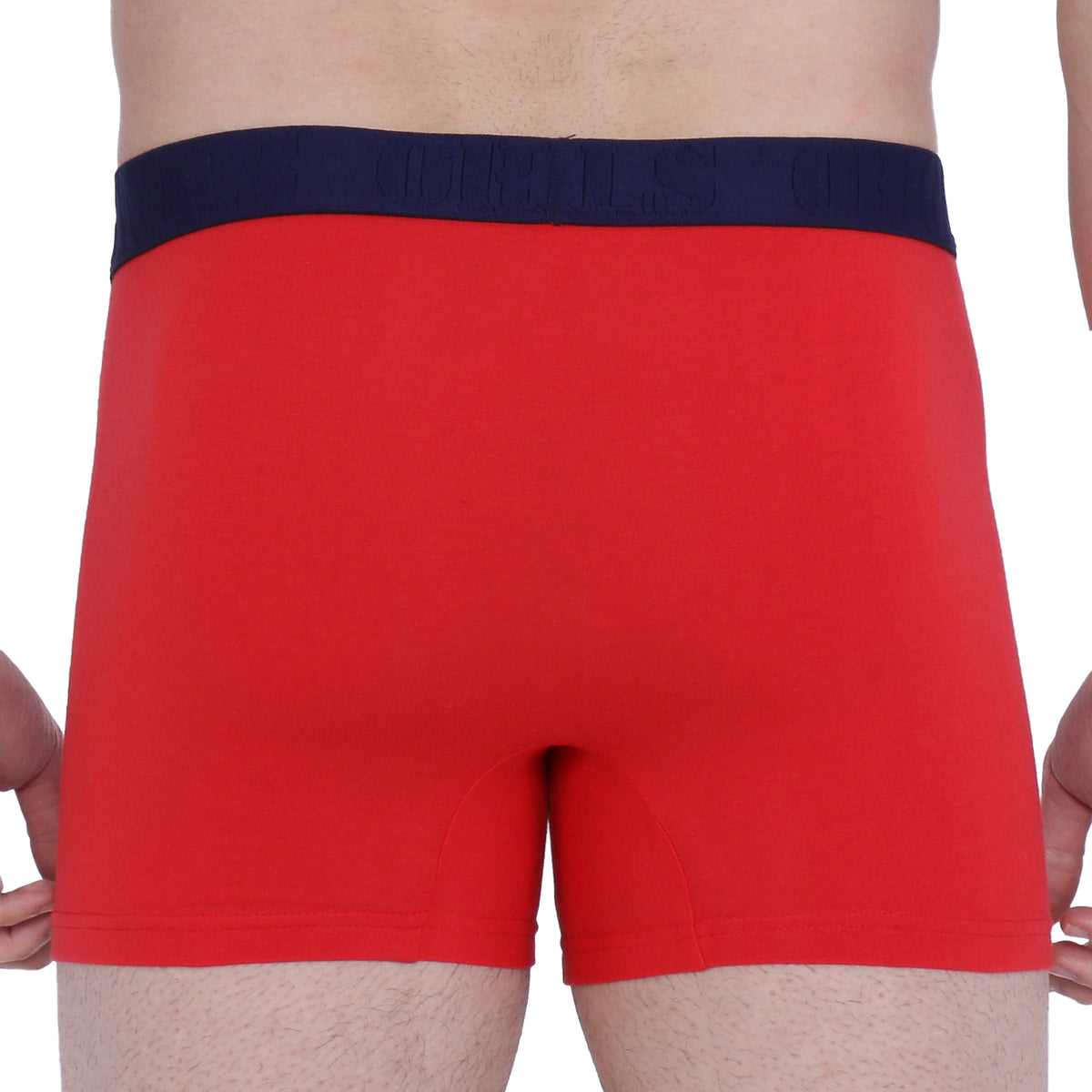 Semantic Cotton Trunks with Fly - Solid