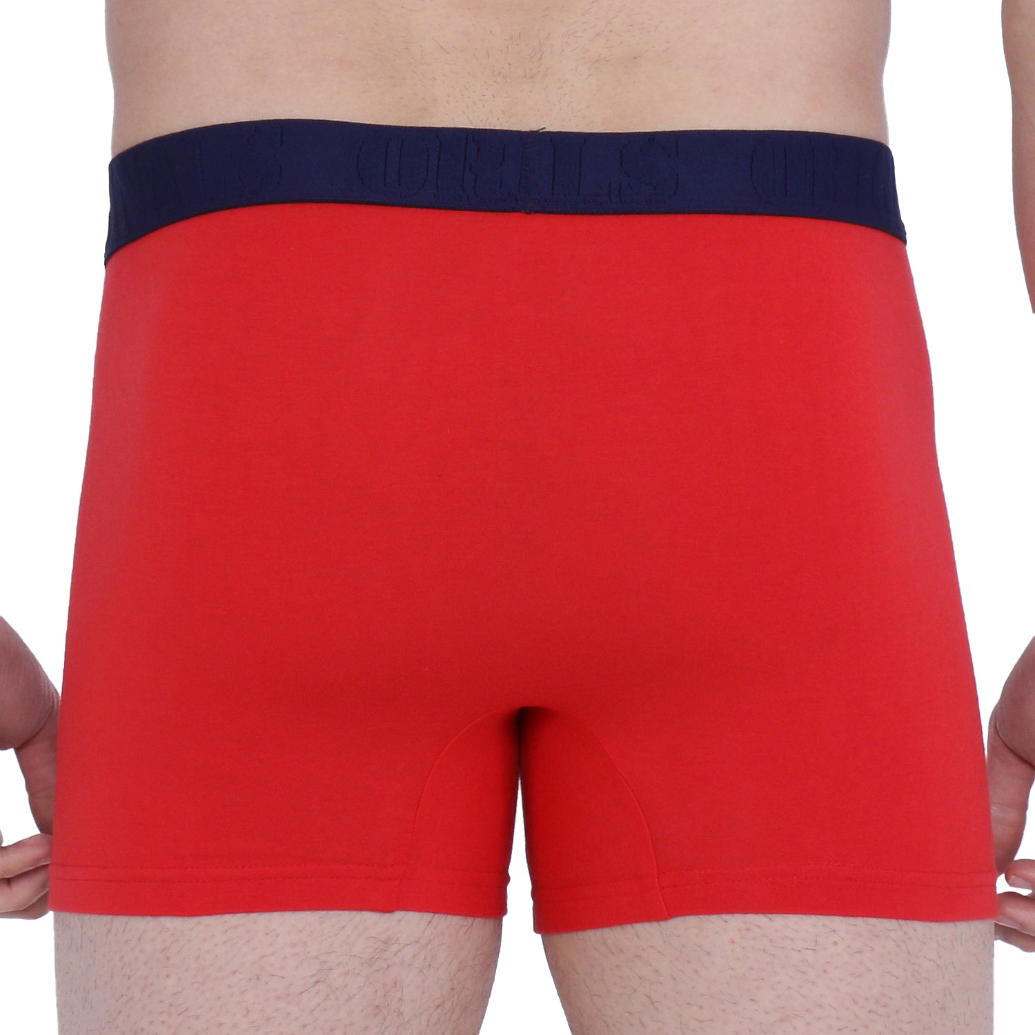 Semantic Cotton Trunks with Fly - Solid - Semantic