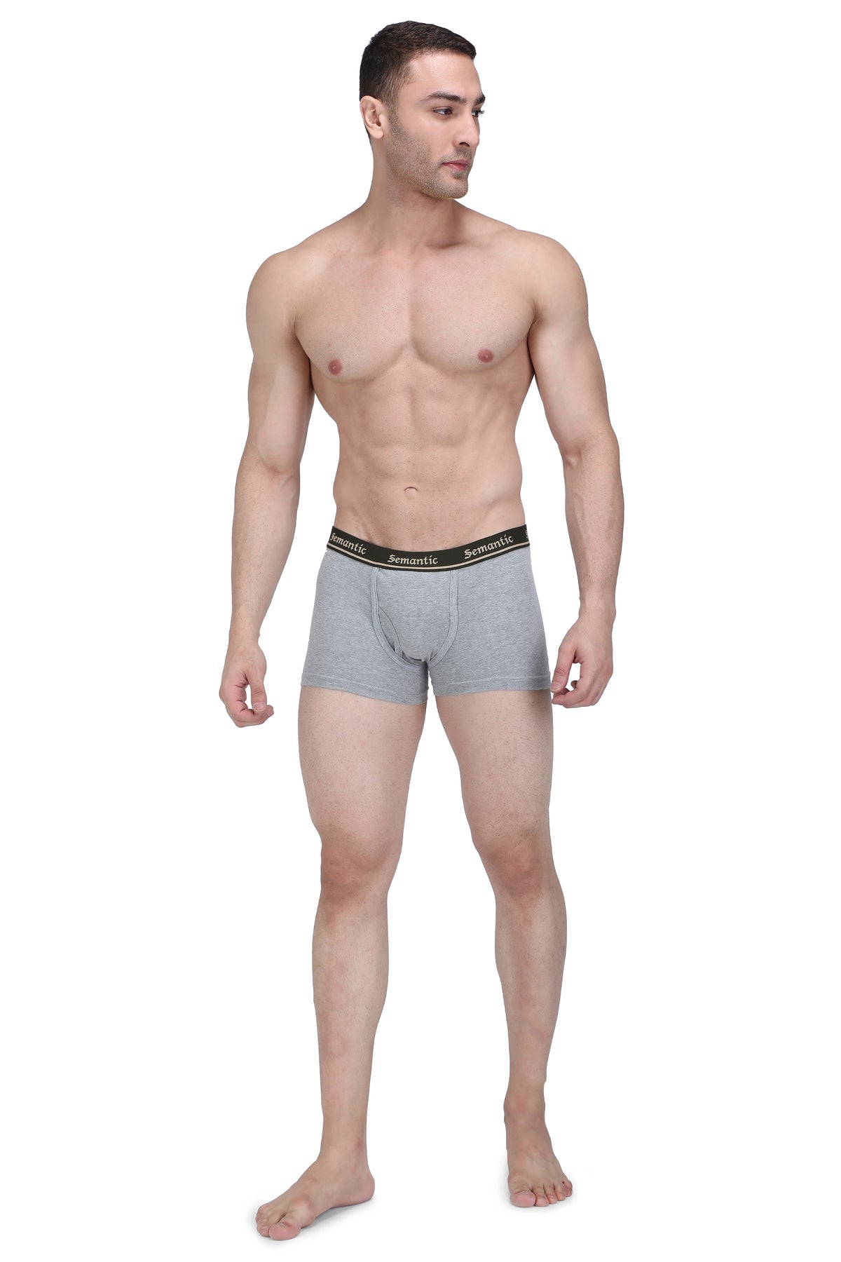Semantic Cotton Trunks with Fly - Solid